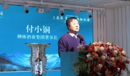 万隆光电陷持续亏损泥潭，陕西富豪入主有何资本局？|界面新闻 · 证券