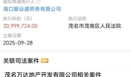 万达地产等被恢复执行2099万，限制消费令高达128条|界面新闻 · 地产