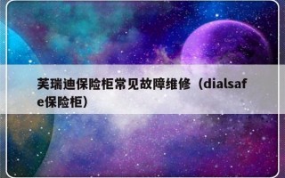 芙瑞迪保险柜常见故障维修（dialsafe保险柜）