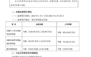 销售额 691 亿，预亏超百亿，万科发布上半年业绩预告|界面新闻 · 地产