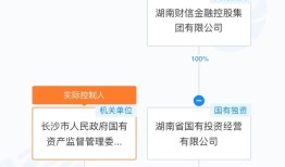 股价两个“一字板”，长沙国资拿下华扬联众意欲何为？|界面新闻 · 证券
