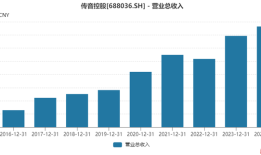 “非洲手机之王”传音控股业绩创新高背后：毛利率下行，四季度营收同比下滑|界面新闻 · 证券