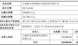 IPO雷达 | 与宁德时代高度绑定，恒翼能“出海”破局低毛利率困境|界面新闻 · 证券