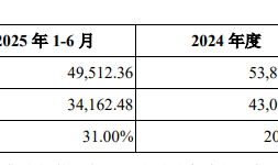 IPO雷达 | 国内第四大封测厂盛合晶微无实控人，第一大客户收入占比已超七成|界面新闻 · 证券
