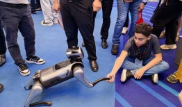 关税风暴中的第137届广交会：明显增多的南美洲采购商，内外销并举|界面新闻