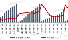 民营房企重返土拍市场，多家“黑马”竞逐热点城市核心地块|界面新闻 · 地产