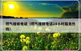 燃气维修电话（燃气维修电话24小时服务热线）