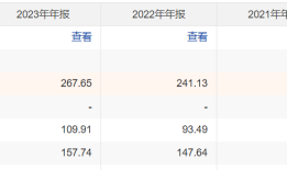 【深度】钛白粉老大龙佰集团背水一战|界面新闻 · 证券