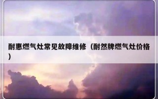 耐惠燃气灶常见故障维修（耐然牌燃气灶价格）