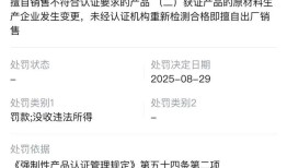 擅自销售未认证电芯，罗马仕供应商安普瑞斯被罚没374万|界面新闻 · 科技