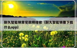 耐久智能锁常见故障维修（耐久智能锁要下载什么app）