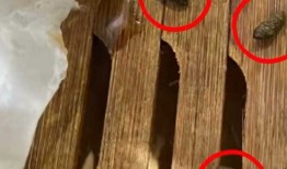 小笼包蒸笼疑现老鼠屎，百年老店知味观深夜致歉|界面新闻