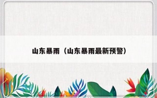 山东暴雨（山东暴雨最新预警）