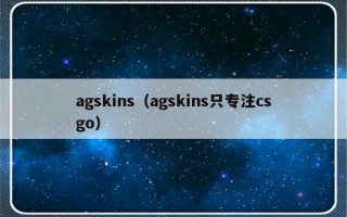 agskins（agskins只专注csgo）