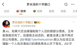 罗永浩再次回应债务问题，其作为被执行人冻结股权总额约为1758万元|界面新闻 · 科技