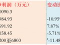年内首家IPO暂缓审议：恒坤新材引进业务超高毛利率引监管关注|界面新闻 · 证券