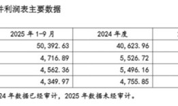 财说| 并购难救“女鞋第一股”，哈森股份表外负债攀升|界面新闻 · 证券