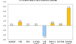 国家统计局：5月份居民消费价格同比下降0.1%|界面新闻 · 快讯