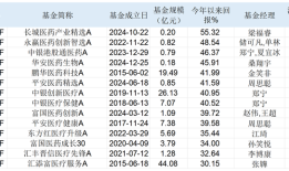 有基金年内大涨超50%！除了港股创新药，基金经理还看好AI医疗|界面新闻