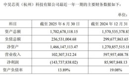 9连板的天普股份今起停牌，寒武纪“平替”中昊芯英拟入主|界面新闻 · 证券
