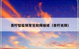 青柠智能锁常见故障维修（青柠关锁）