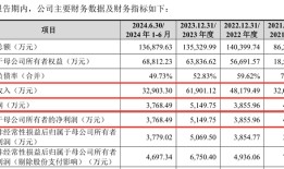 IPO雷达｜药明系投资的汉邦科技将上会：专利诉讼未了，成倍扩增产能如何消化？|界面新闻 · 证券