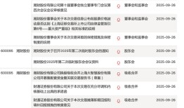 近百份公告密集发布！湘财股份拟吸收合并大智慧并募资80亿元|界面新闻 · 证券