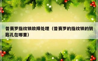 普赛罗指纹锁故障处理（普赛罗的指纹锁的钥匙孔在哪里）