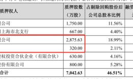 新资本来了！老字号张小泉股权遭拍卖，MCN机构白兔集团3.6亿成第二大股东|界面新闻 · 证券