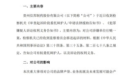 涉嫌单位行贿被起诉，信邦制药股价前一日涨停今日闪崩|界面新闻 · 证券