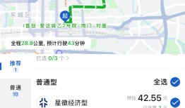 杀入外卖业务后，京东又盯上了网约车市场|界面新闻 · 科技