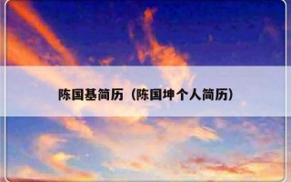 陈国基简历（陈国坤个人简历）