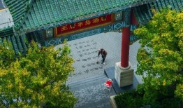 首批“零碳目的地”先锋榜单发布，皇家加勒比携手奈尔宝开启暑期度假新玩法 | 一周旅行指南|界面新闻 · 旅行