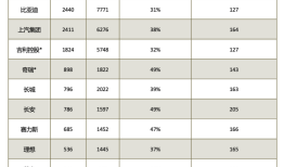 中国汽车产业现“恒大论”，但危机可能没想象的严重|界面新闻