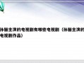 孙俪主演的电视剧有哪些电视剧（孙俪主演的电视剧作品）
