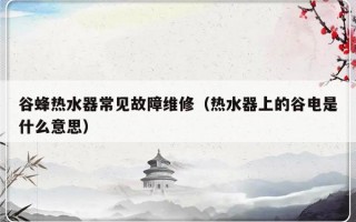 谷蜂热水器常见故障维修（热水器上的谷电是什么意思）