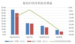 休闲食品板块重构：龙头虹吸延续还是盈利拐点显现？| A股2026投资策略⑤|界面新闻 · 证券