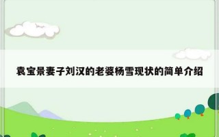 袁宝景妻子刘汉的老婆杨雪现状的简单介绍