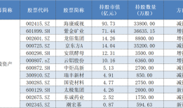 高毅、玄元、重阳重仓股大曝光！百亿私募443亿元都买了啥？|界面新闻