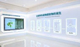 周期里扎根，贝泰妮的生长曲线|界面新闻 · 时尚