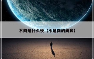 不肉是什么梗（不是肉的美食）