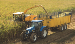 从一棵草、一杯奶到一代人，伊利如何助力乡村全面振兴？|界面新闻