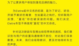 新款车型降价超10万元，莲花中国总裁发文致歉|界面新闻 · 汽车