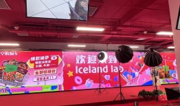 英国“穷鬼超市”Iceland在中国该怎么卷？|界面新闻