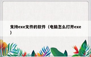 支持exe文件的软件（电脑怎么打开exe）