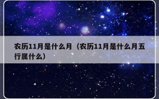 农历11月是什么月（农历11月是什么月五行属什么）