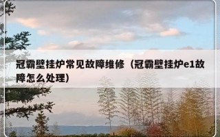 冠霸壁挂炉常见故障维修（冠霸壁挂炉e1故障怎么处理）