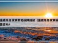 迪威乐指纹锁常见故障维修（迪威乐指纹锁设置密码）