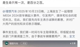 理想汽车就车辆起火事件致歉，召回11411辆！创始人李想回应|界面新闻 · 汽车