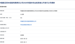 中国航空资本控股100亿元小公募债项目获上交所受理|界面新闻 · 快讯